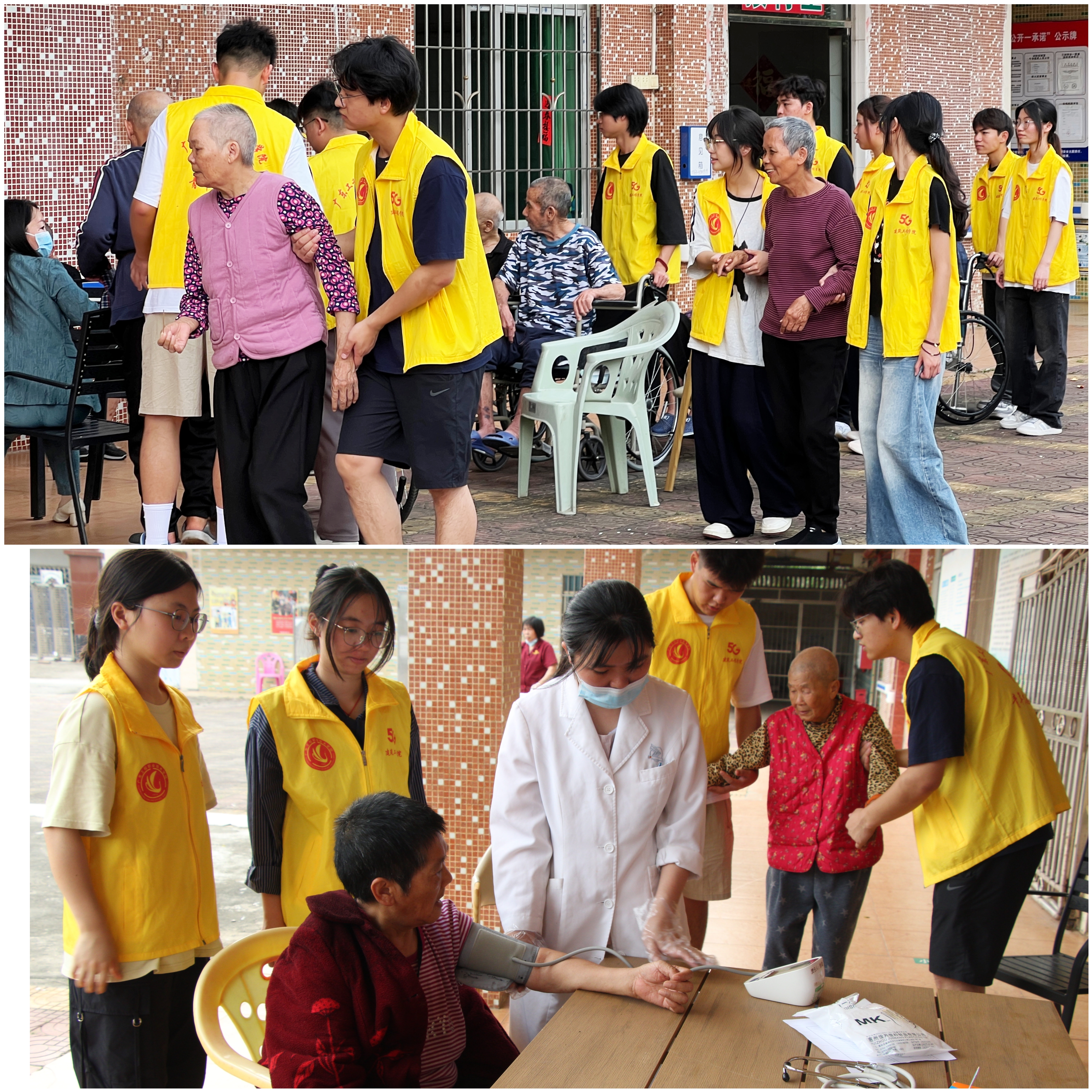 志愿者协助开展健康诊断.jpg